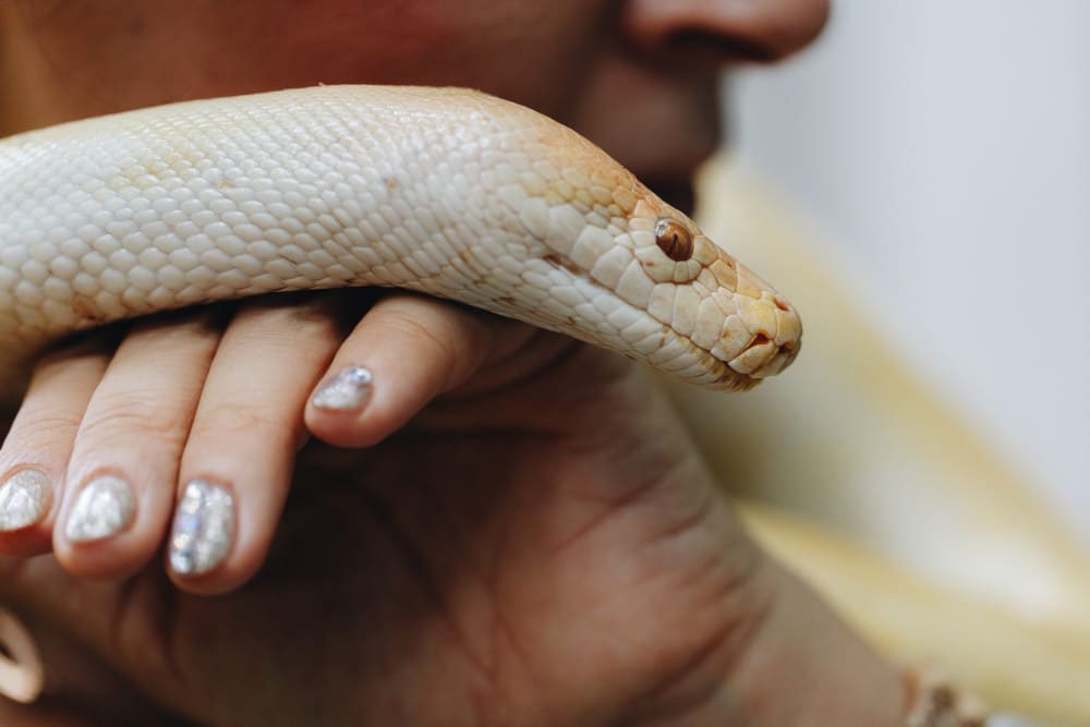 woman holding snake
